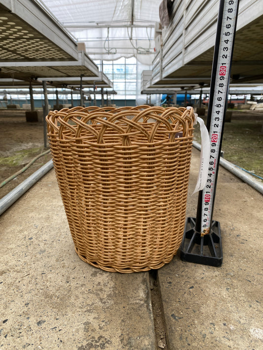 No.05002 ”OUTLET ”バスケット 6号鉢対応