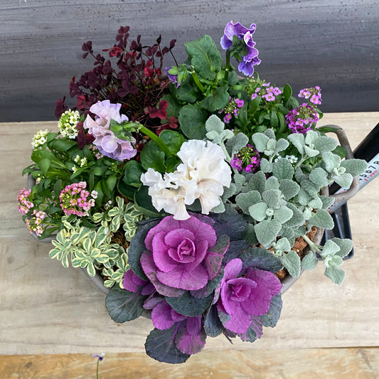 寄せ植えJ 手つきポットグレー