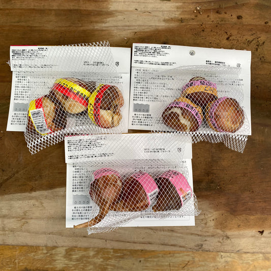 市場仕入れ即売会 No.25093 チューリップ球根 ディスコ/ブリスベン/カバナ 3種セット