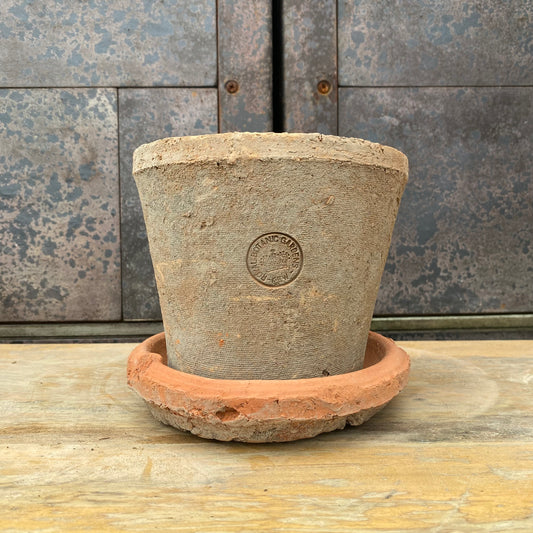 No.05023 ”OUTLET ”ランカキューレッド S