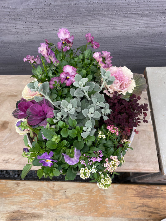 寄せ植え (プラスチック鉢)