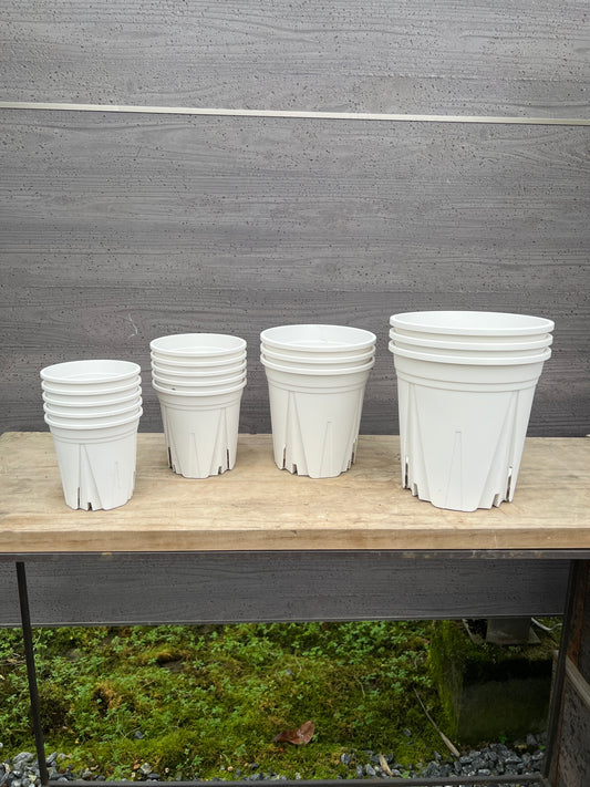 すくすくいい根 白ポット 16個セット(3.5号×5、4号×5、5号×3、6号×3)