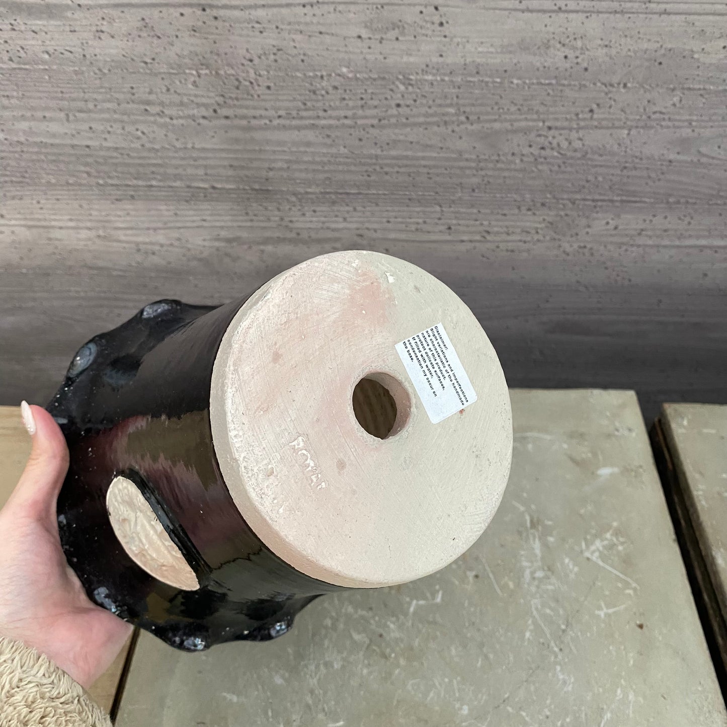 チェスター キューポット ブラックベリー ROYAL BOTANIC GARDENS-KEW-