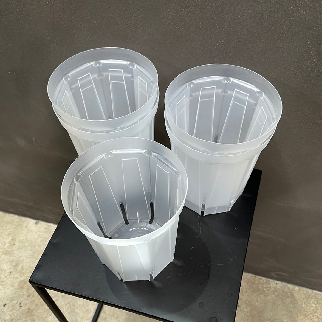 半透明スリット鉢 ★ ネガミエル 5号 (15㎝) 5個セット