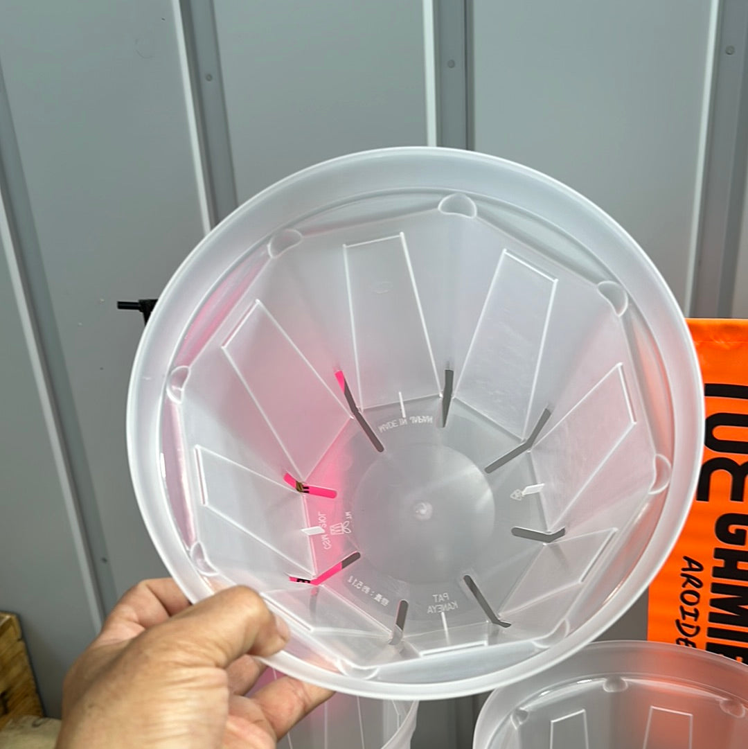 半透明スリット鉢 ★ ネガミエル 7号(21㎝) 3個セット