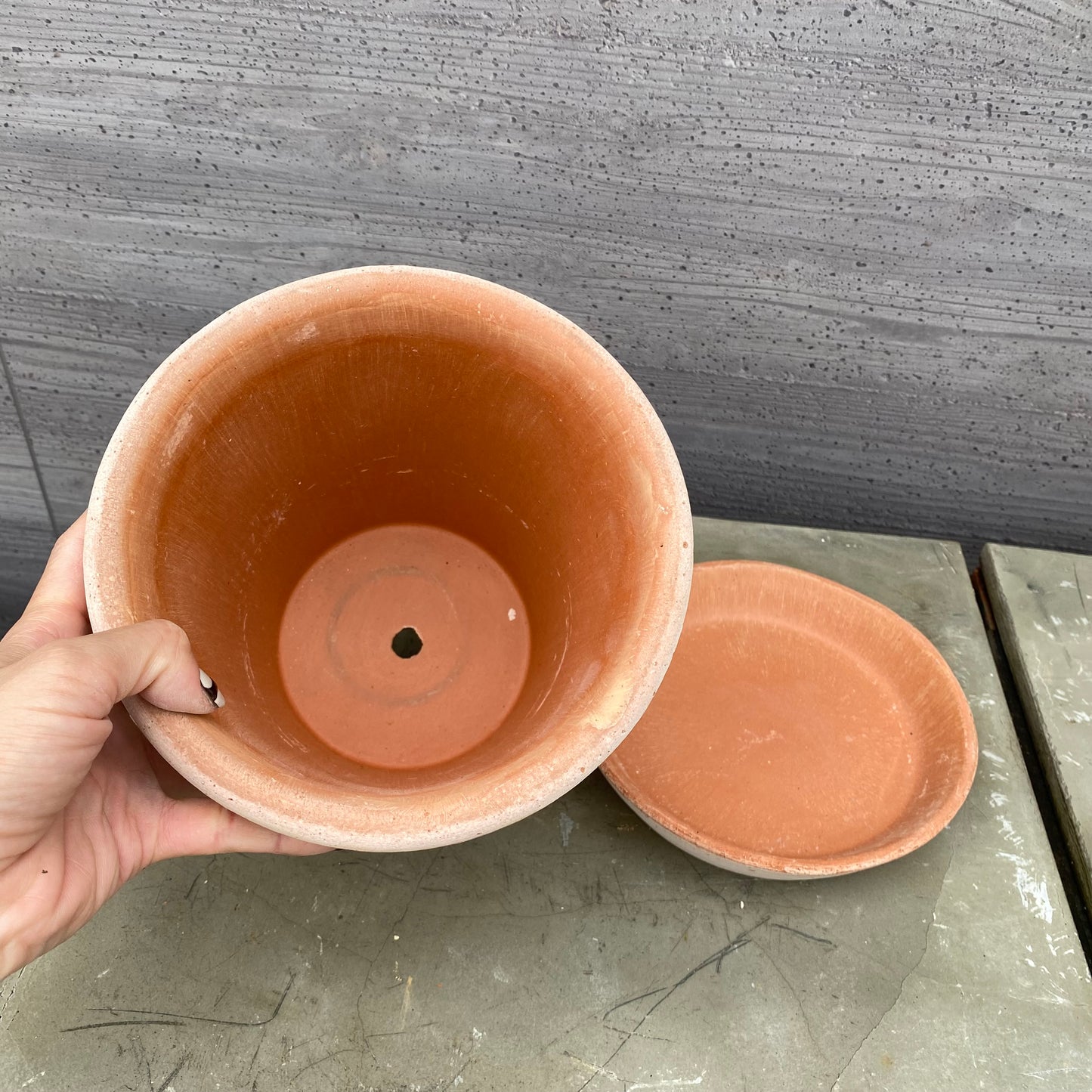 BERGS 陶器鉢 エリザベス 18 Lサイズ ナチュラル 受け皿付き