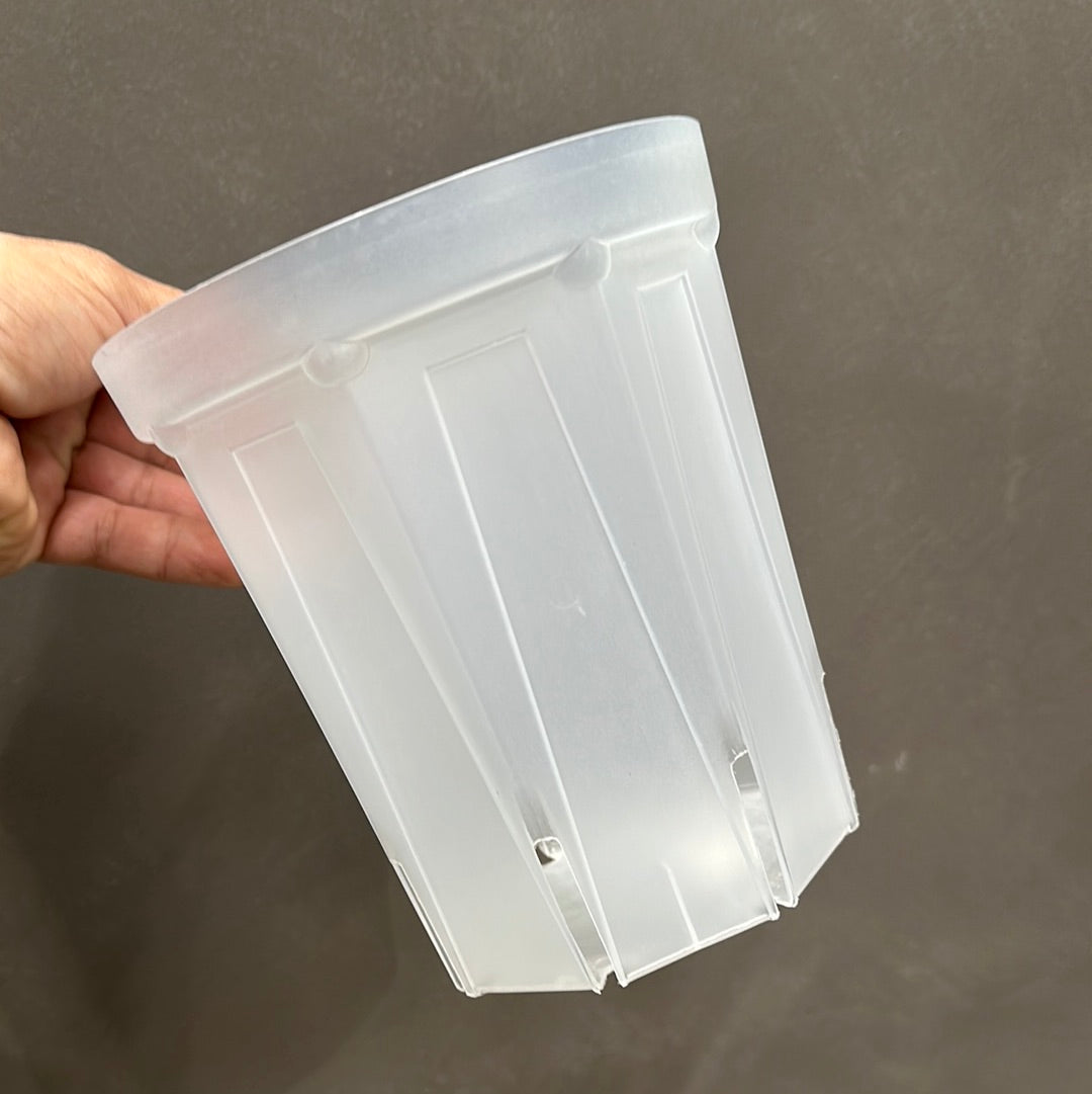 半透明スリット鉢 ★ ネガミエル 5号 (15㎝) 5個セット