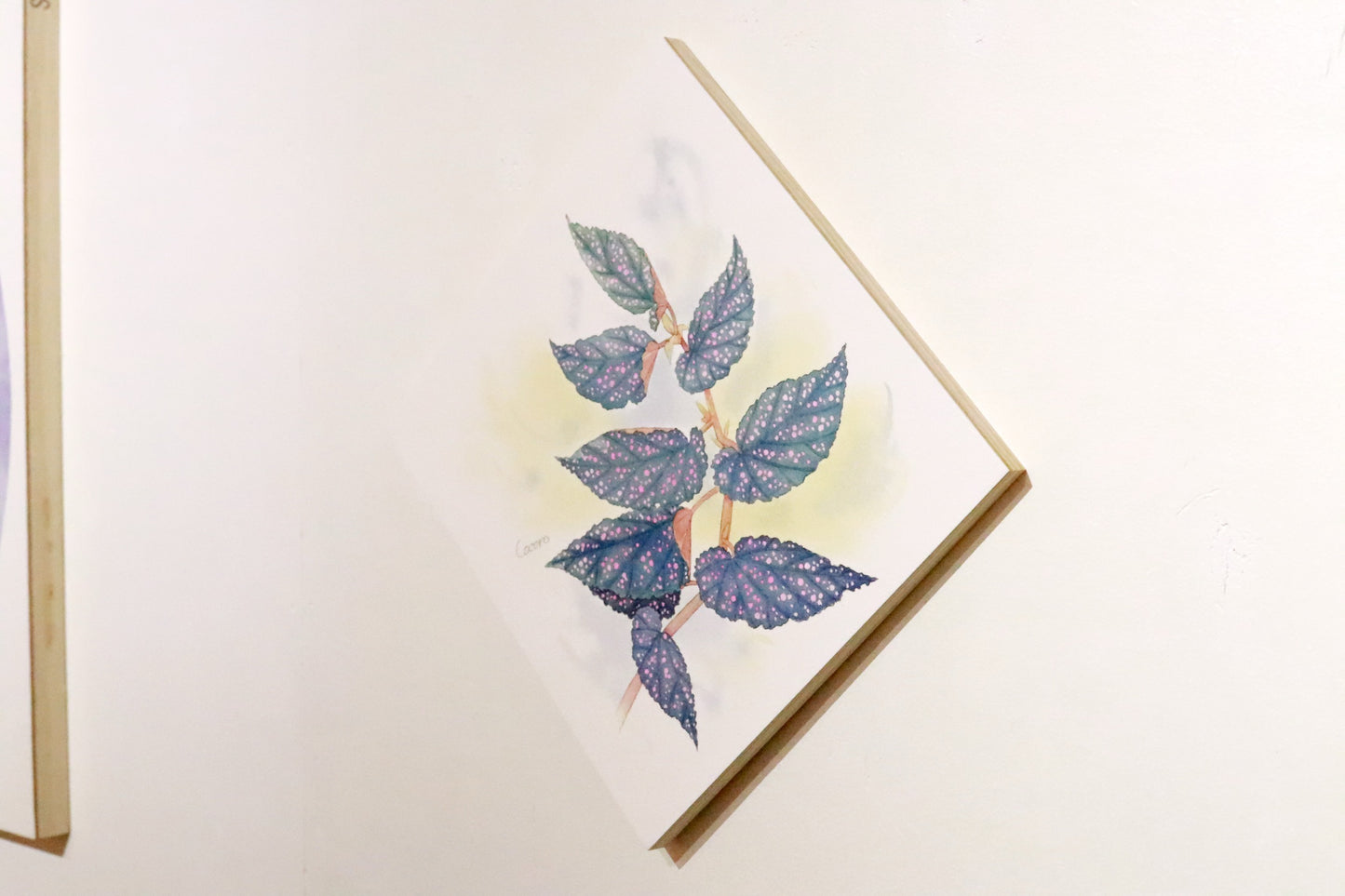 原画★木立性ベゴニア Benigo Aタイプ 20×20cm