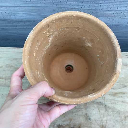 No.05023 ”OUTLET ”ランカキューレッド S