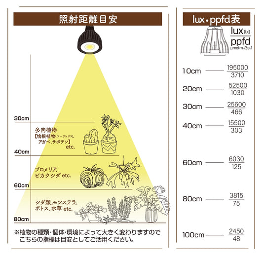 エバーサン365 mini12W