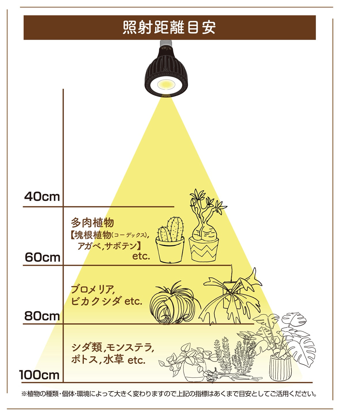 エバーサン365 24W