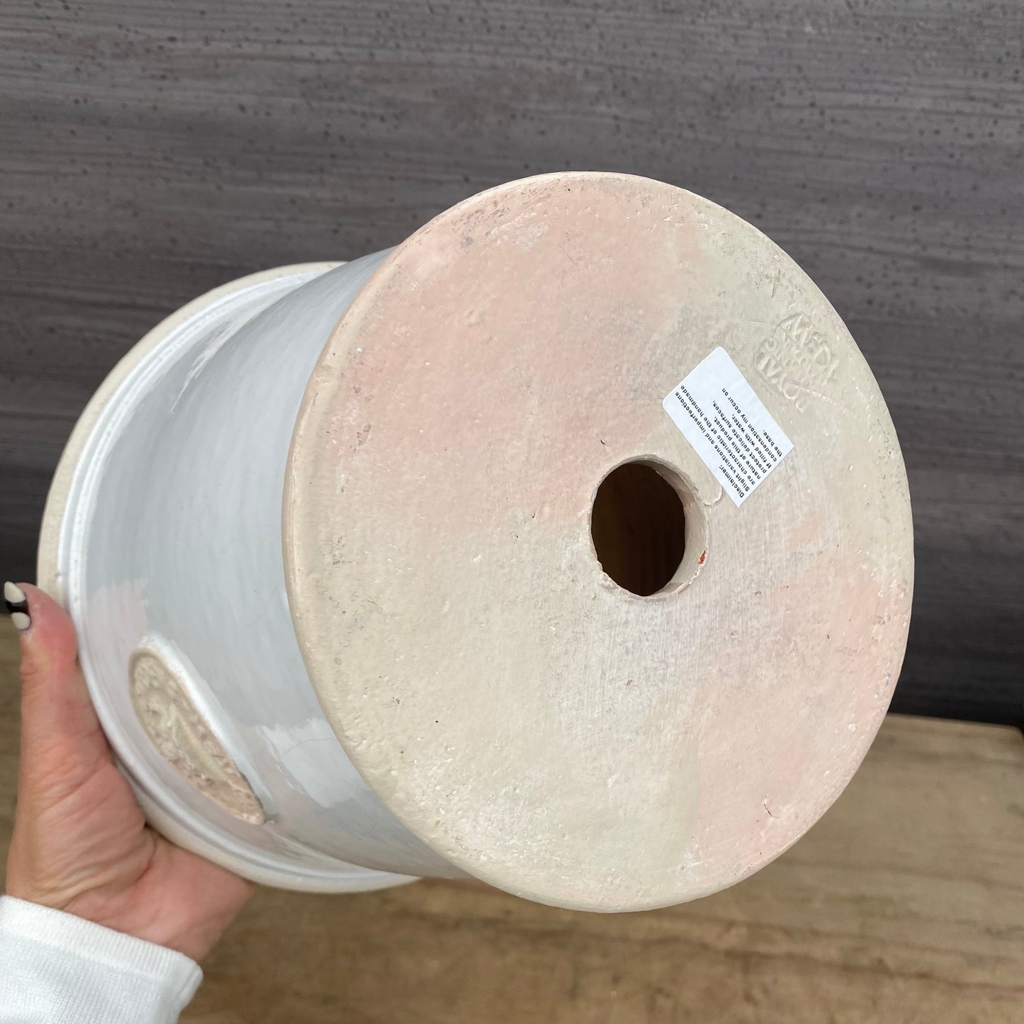 ラピス キューポット ボーンホワイト ROYAL BOTANIC GARDENS-KEW-