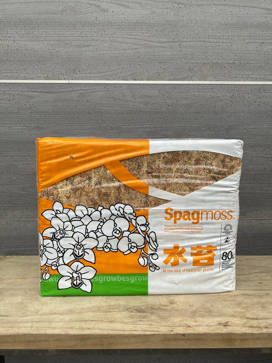 水苔 80L