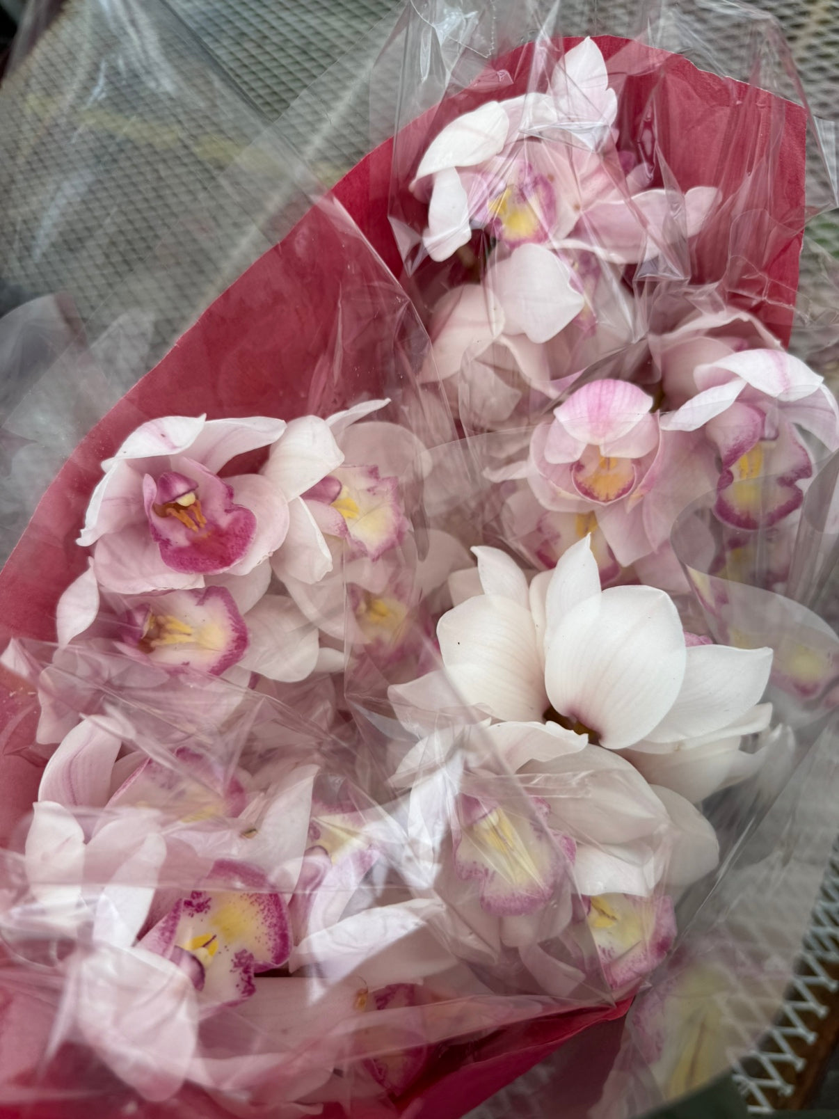 すくもがーでんふぁーむ★シンビジウム ミツボシ 5本花束