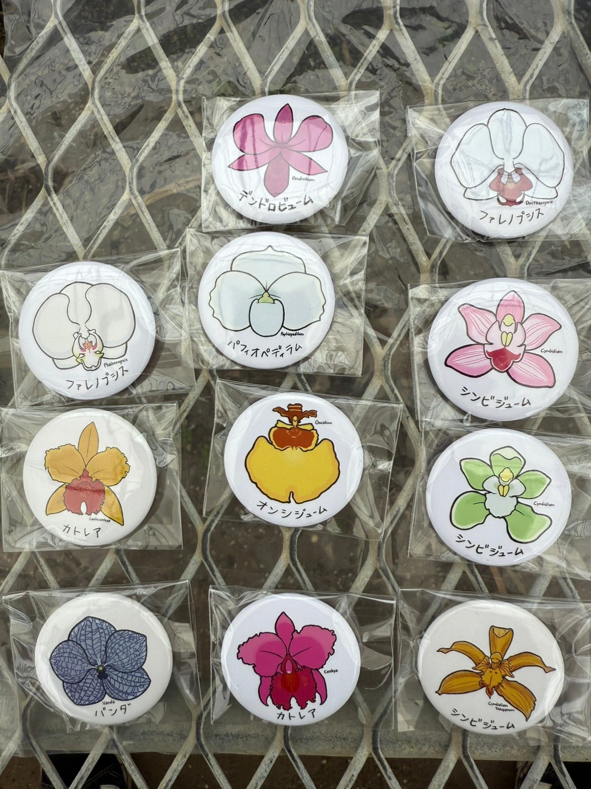 五台山洋蘭園★缶バッジセット