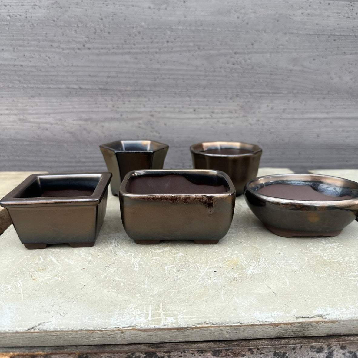 MINI PLANTERS BRONZE 5個セット