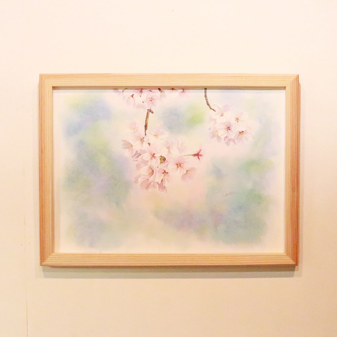 原画☆桜 35.8×26.6cm – 植物家族