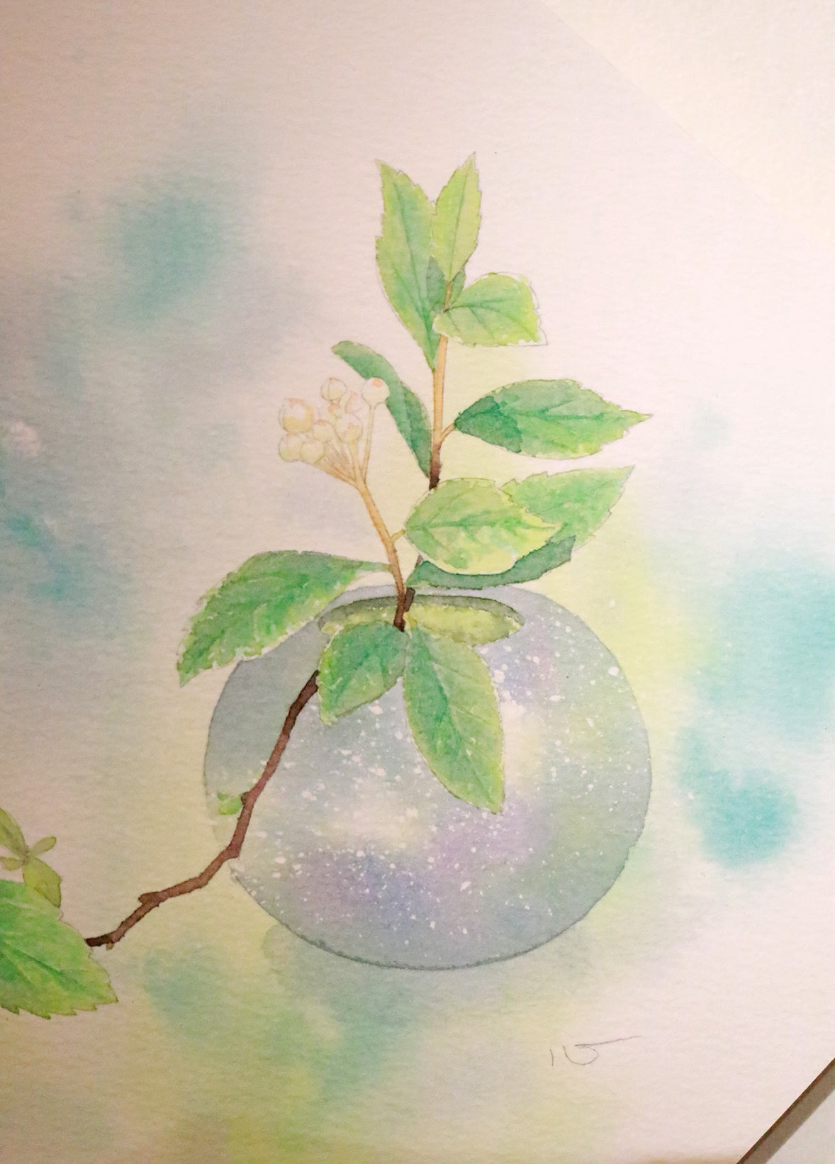 原画★コデマリ 20×20cm