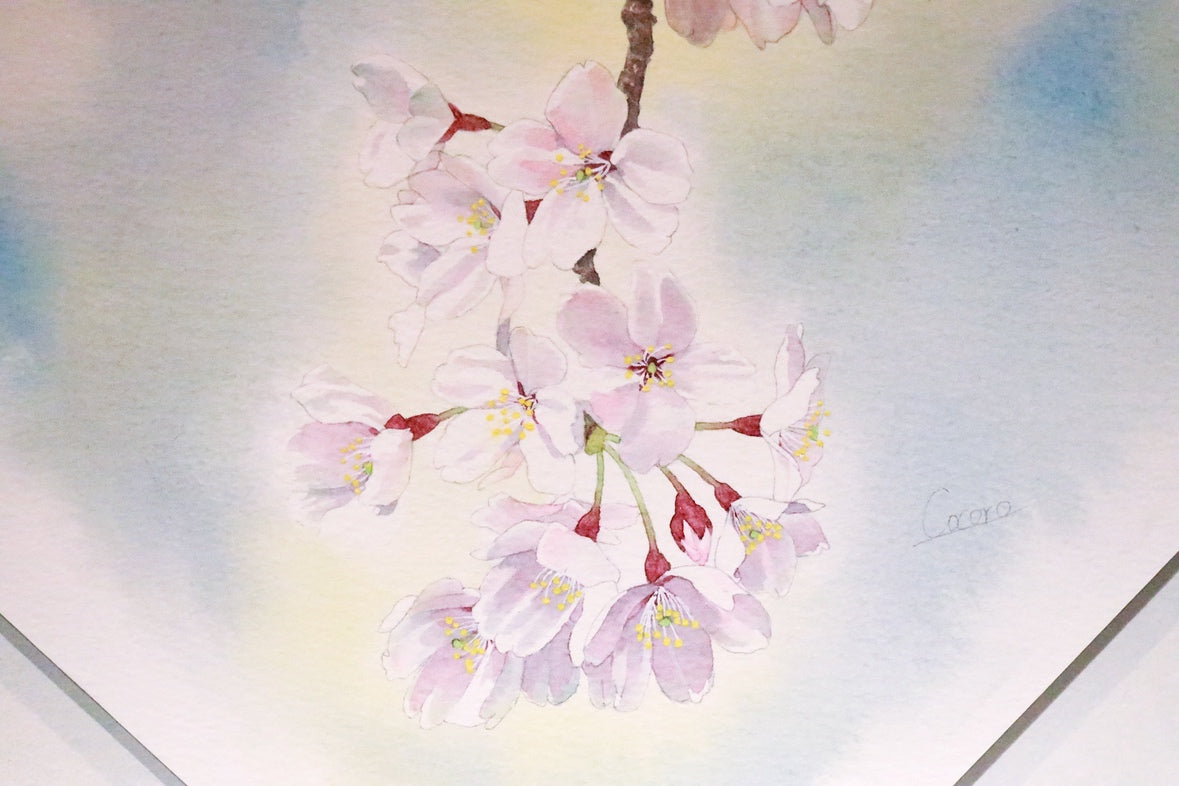 原画★桜 20×20cm