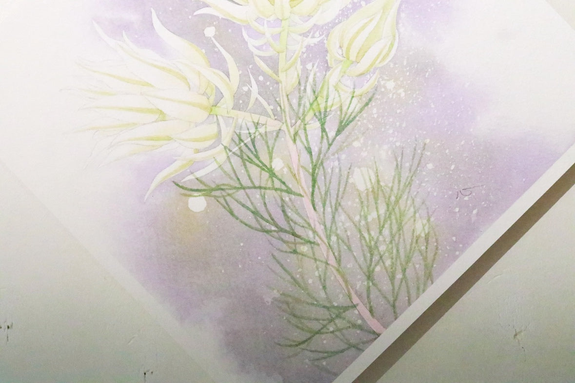 原画★セルリア 20×20cm