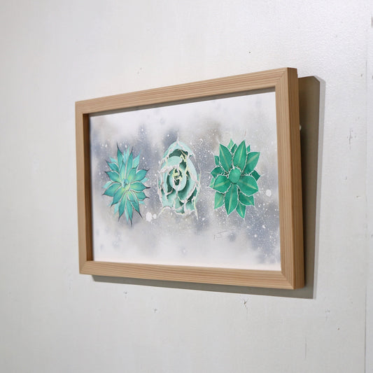 こころ作水彩画 原画★アガベ 22.8×20cm