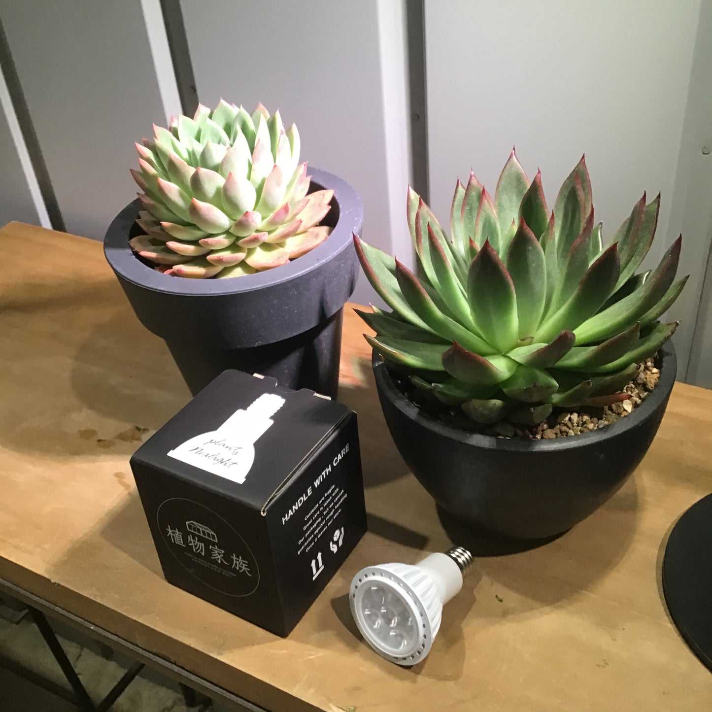 ミニ観葉植物(ミニ観葉・多肉・小型植物全般)専用 LED育成ライト WHITE