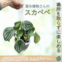 社長おすすめ生産者特集