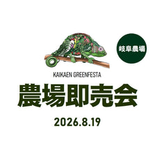 販売中の植物たち