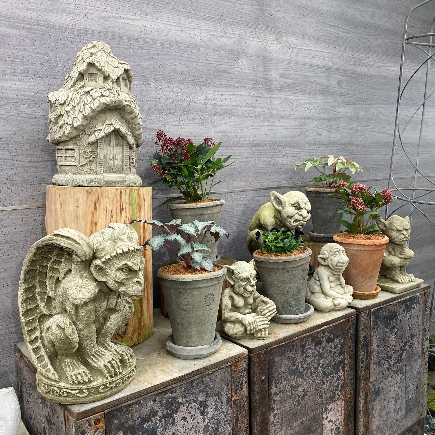 社長植栽植物