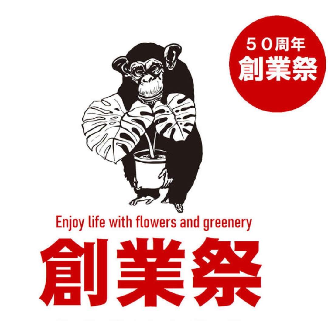 コレクション – 植物家族