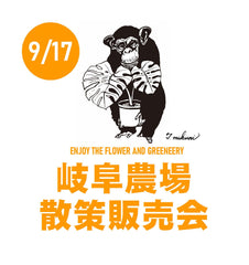 農場散策：岐阜農場の植物達