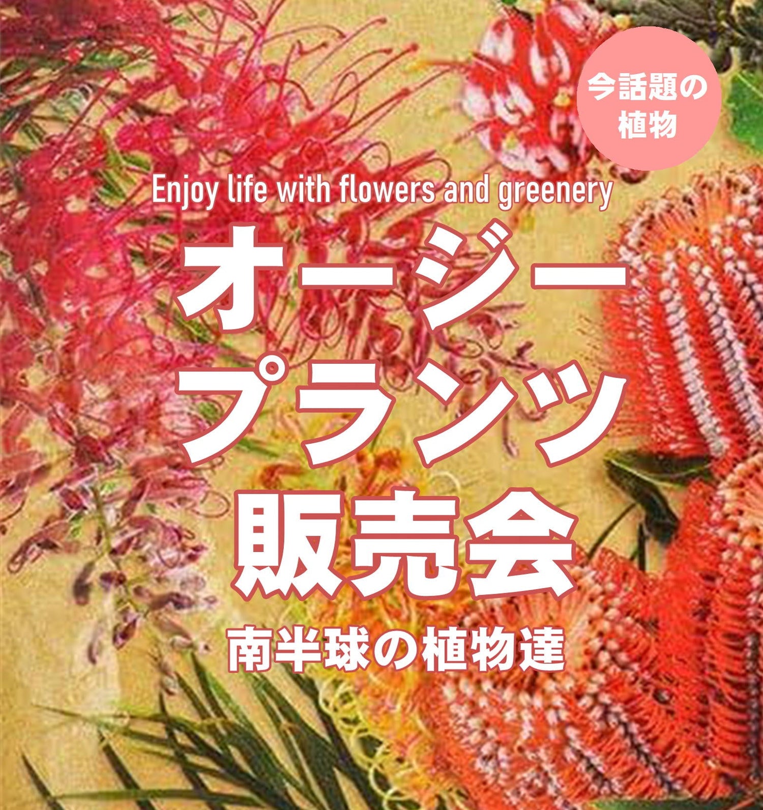 オージー植物特集