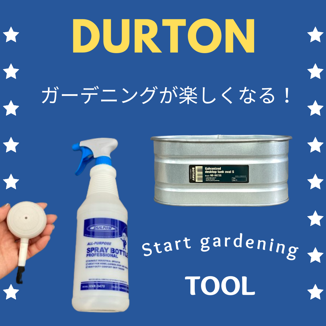 ダルトン
