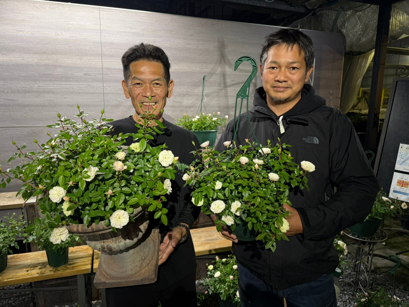 薔薇生産者ローズなかしまさんのフレグランスローズ