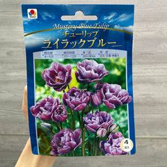 販売中の植物達