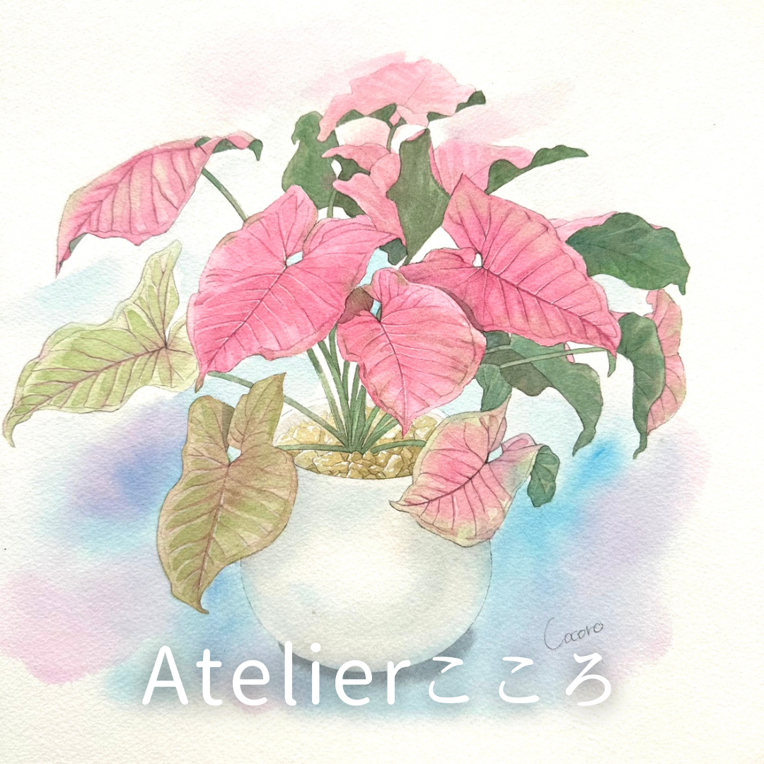 コレクション – 植物家族