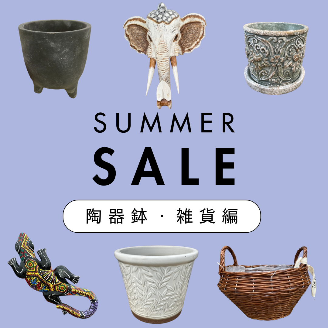 コレクション – 植物家族