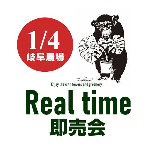 ririaaloha7738様売約済み 陶器鉢　ホワイト