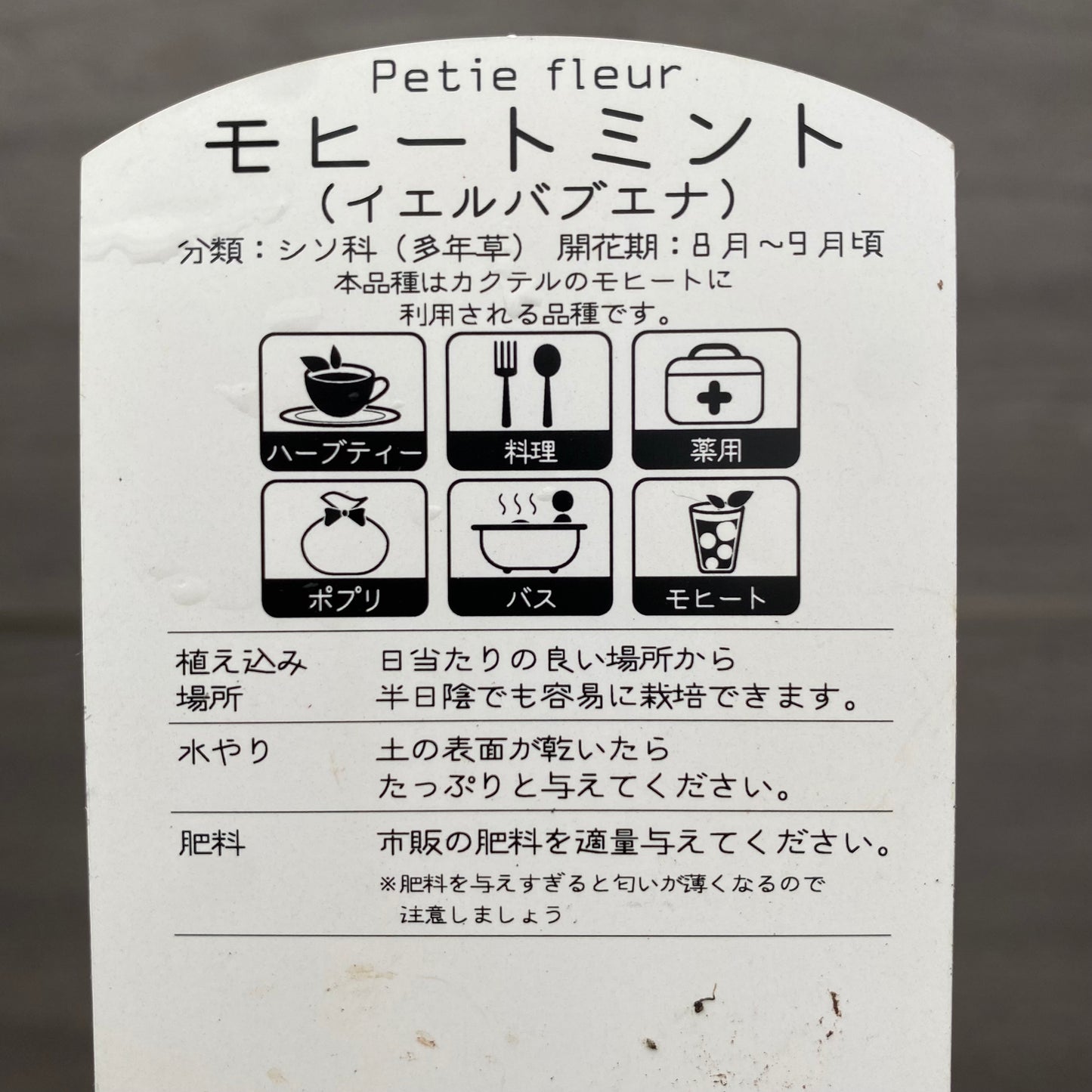 モヒートミント　3.5号苗ポット　3ポットセット