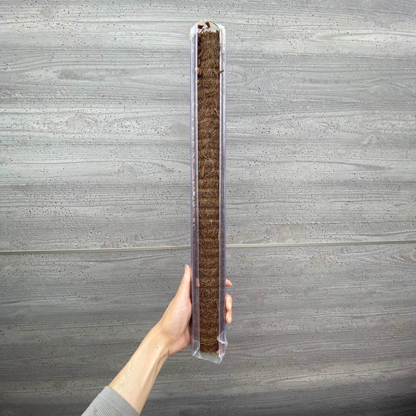 ねこ型登り棒（50㎝タイプ）セット（ねこチップ・ねこの着生マット付）