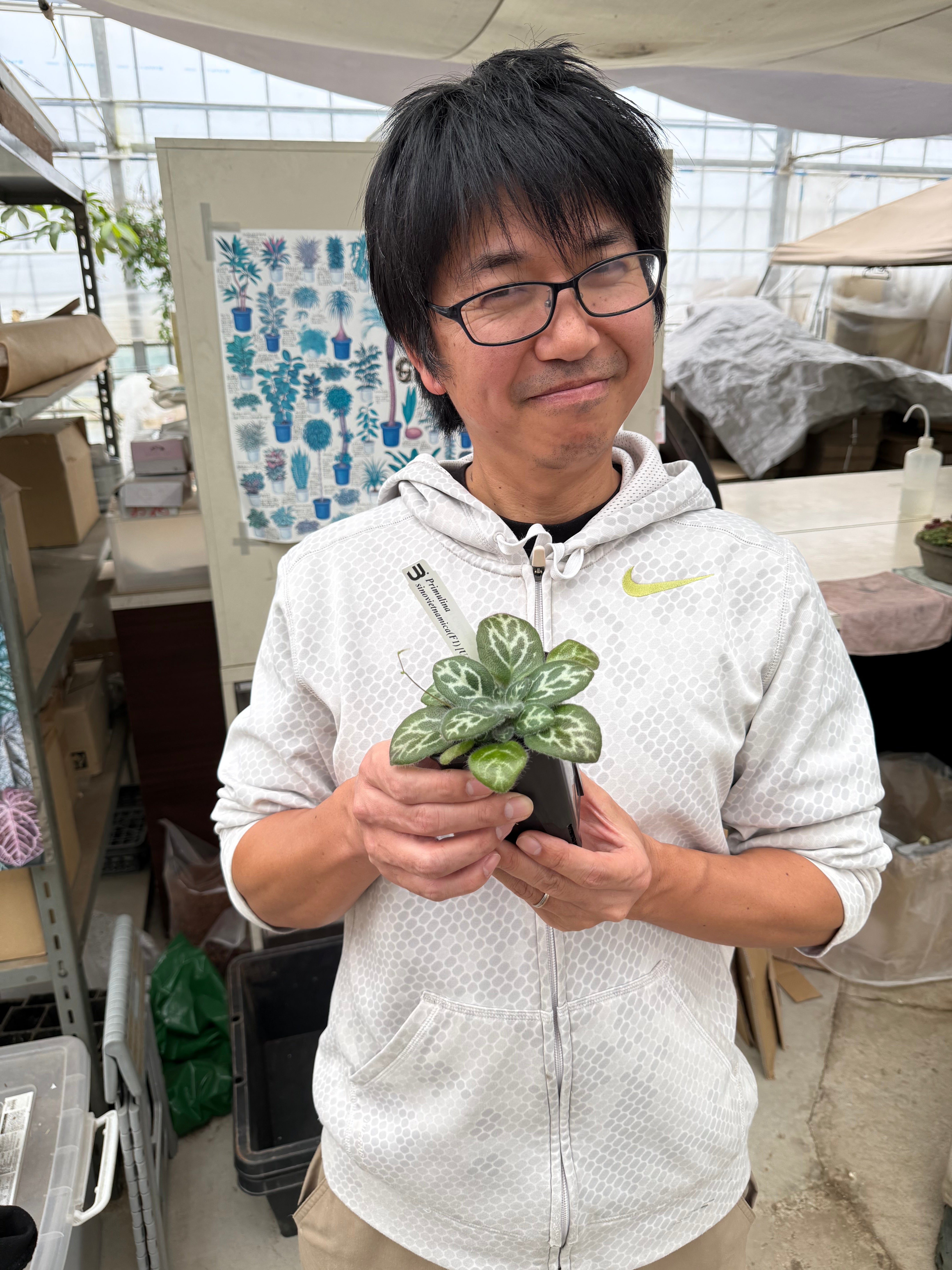 Pickup 全ての商品 – 植物家族