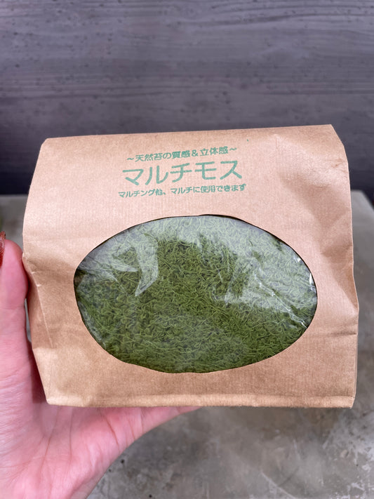 マルチモス グリーン