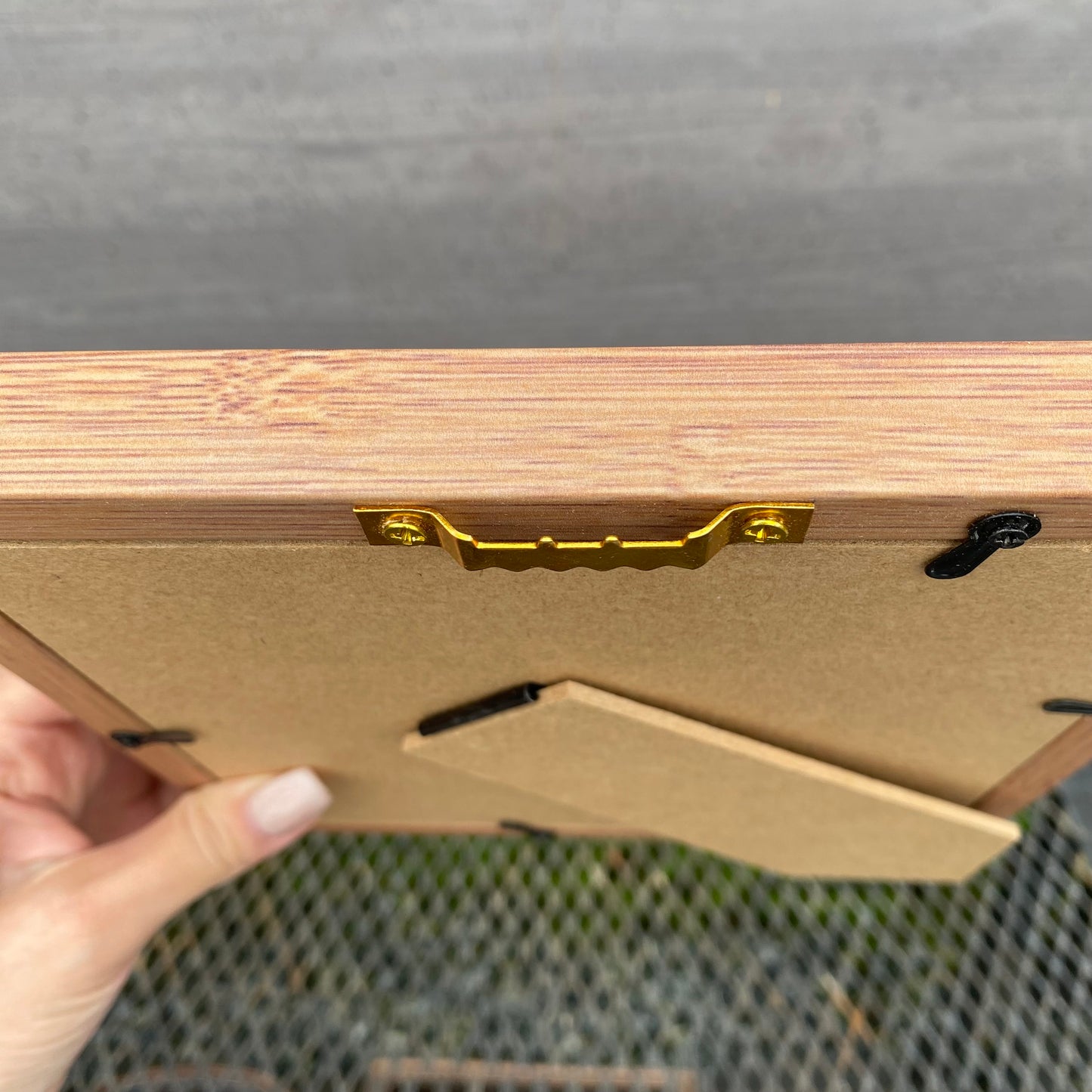 ボタニカルアートフレーム　エアプランツ