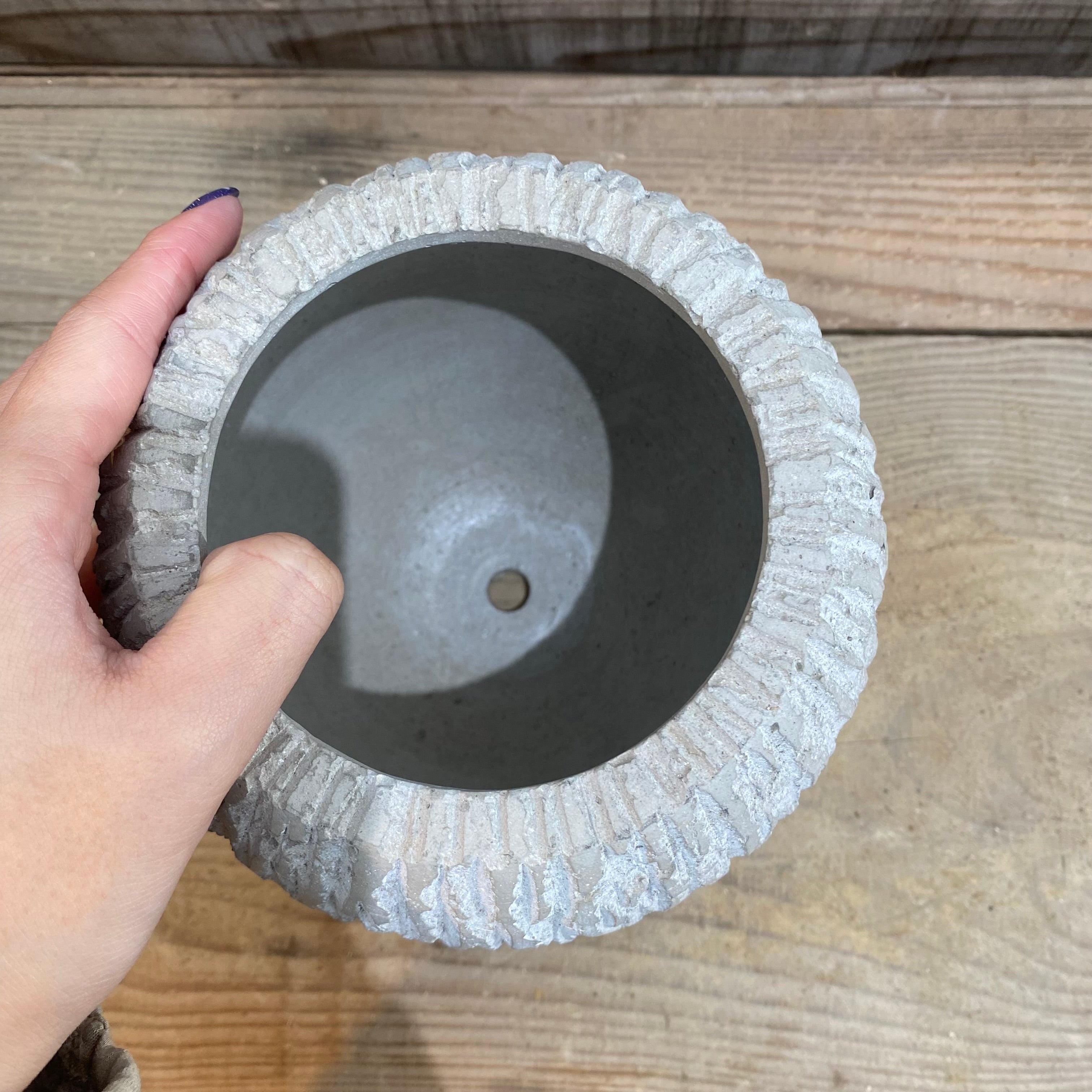 Pickup 全ての商品 – 植物家族