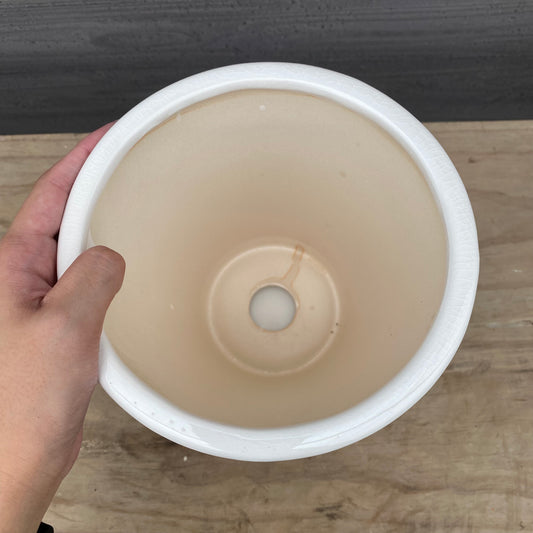 白い陶器鉢　5号鉢