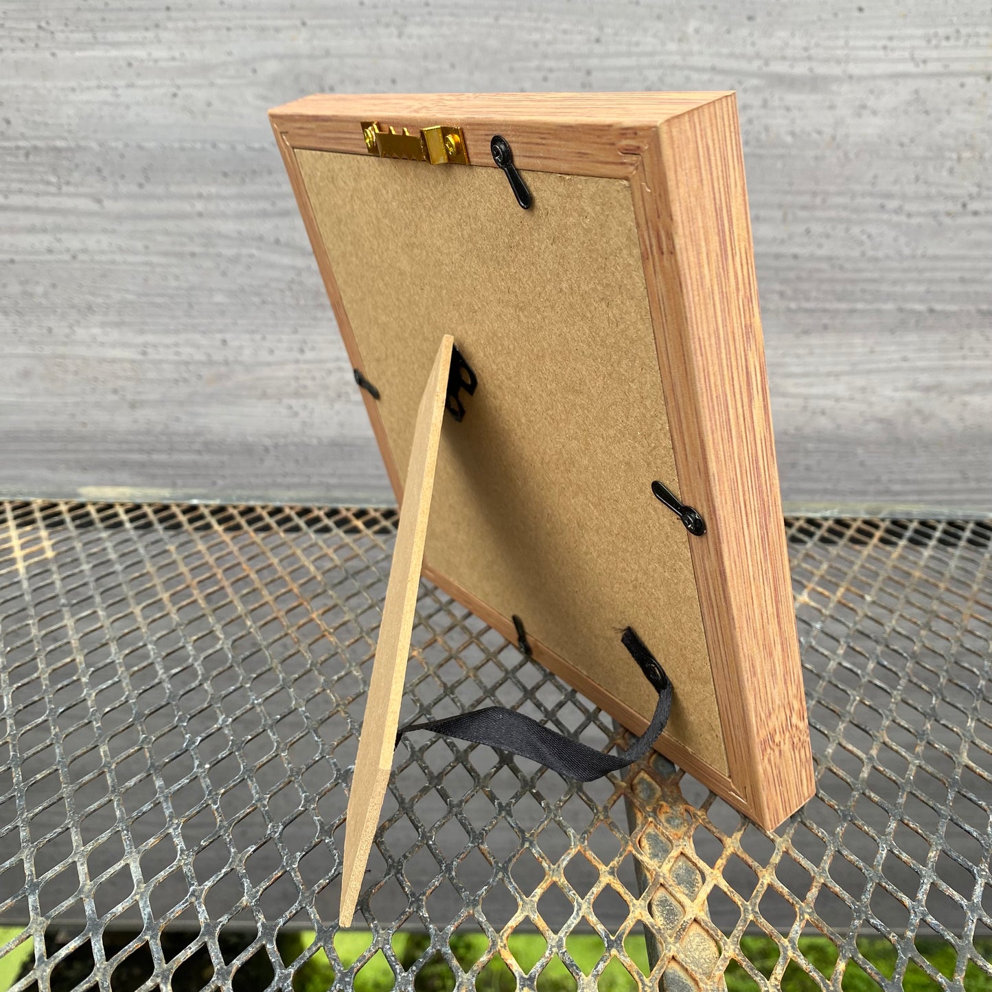 ボタニカルアートフレーム　アガベC