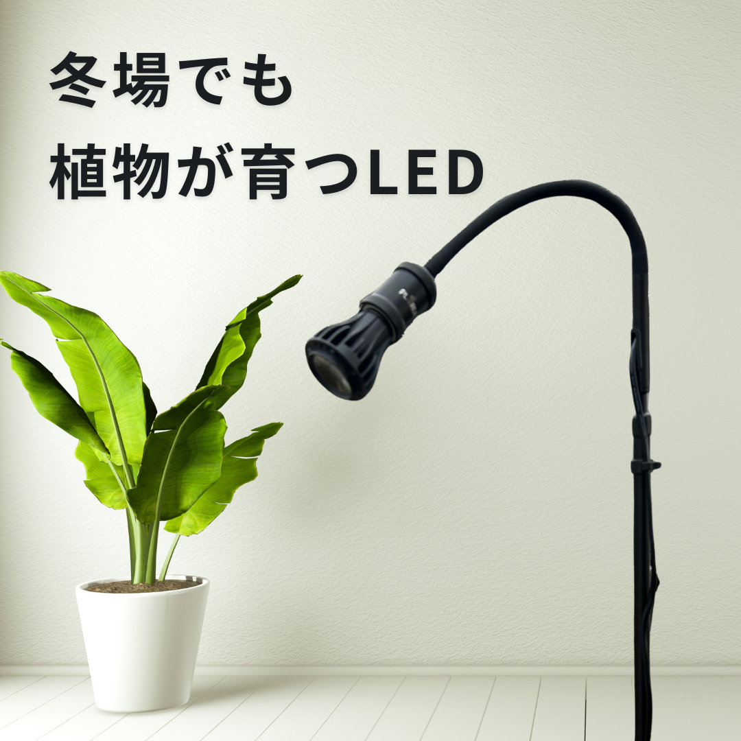 再入荷！【植物育成LEDライト】暗い場所や日光の少ない季節に
