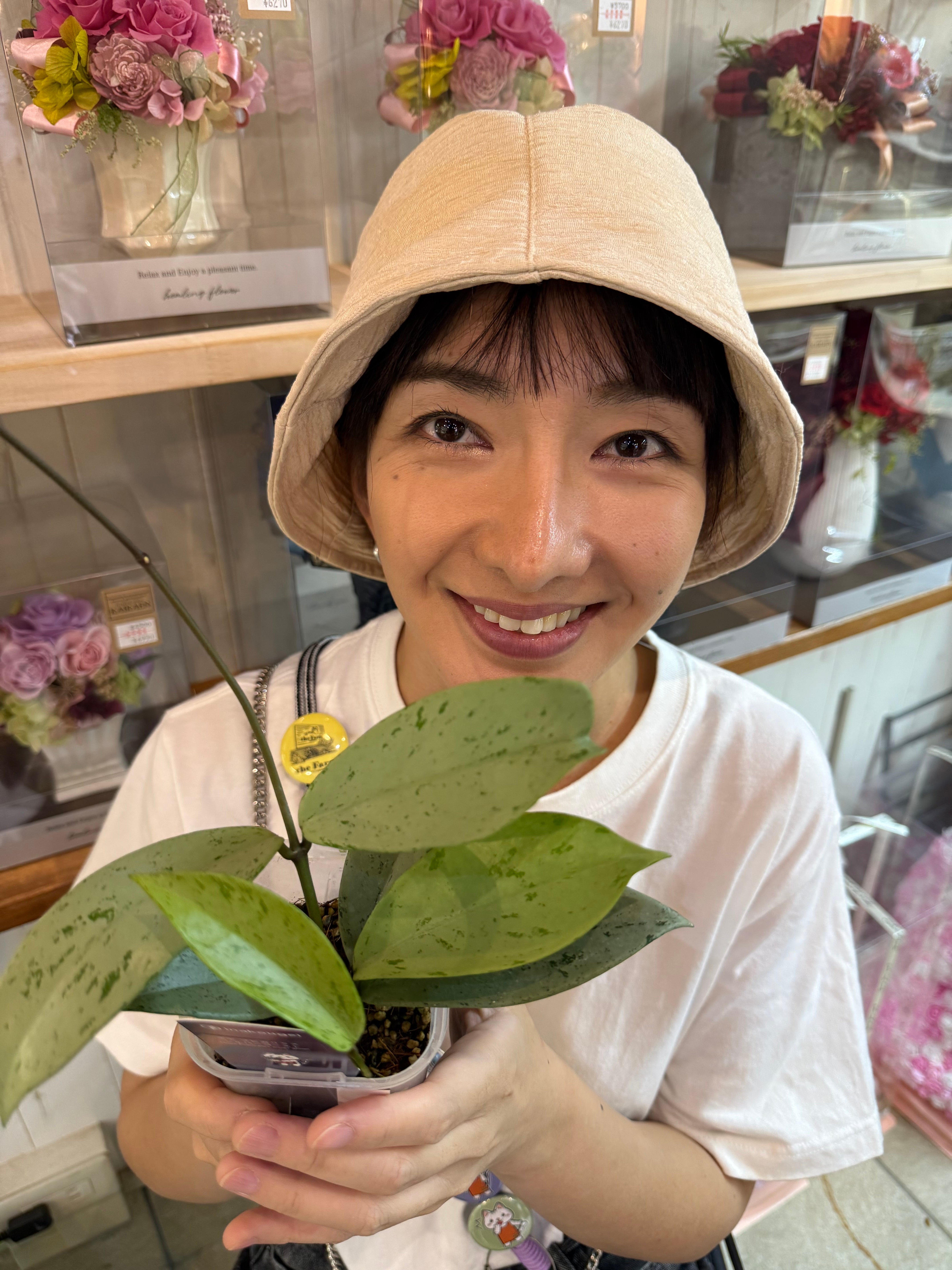 Pickup 全ての商品 – 植物家族