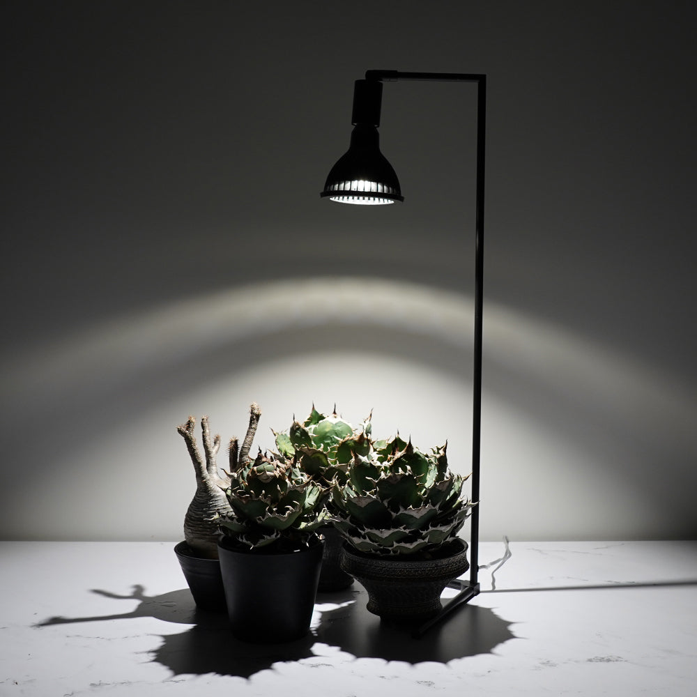 植物育成ライト フロアーランプスタンド アコン (74cm) – 植物家族