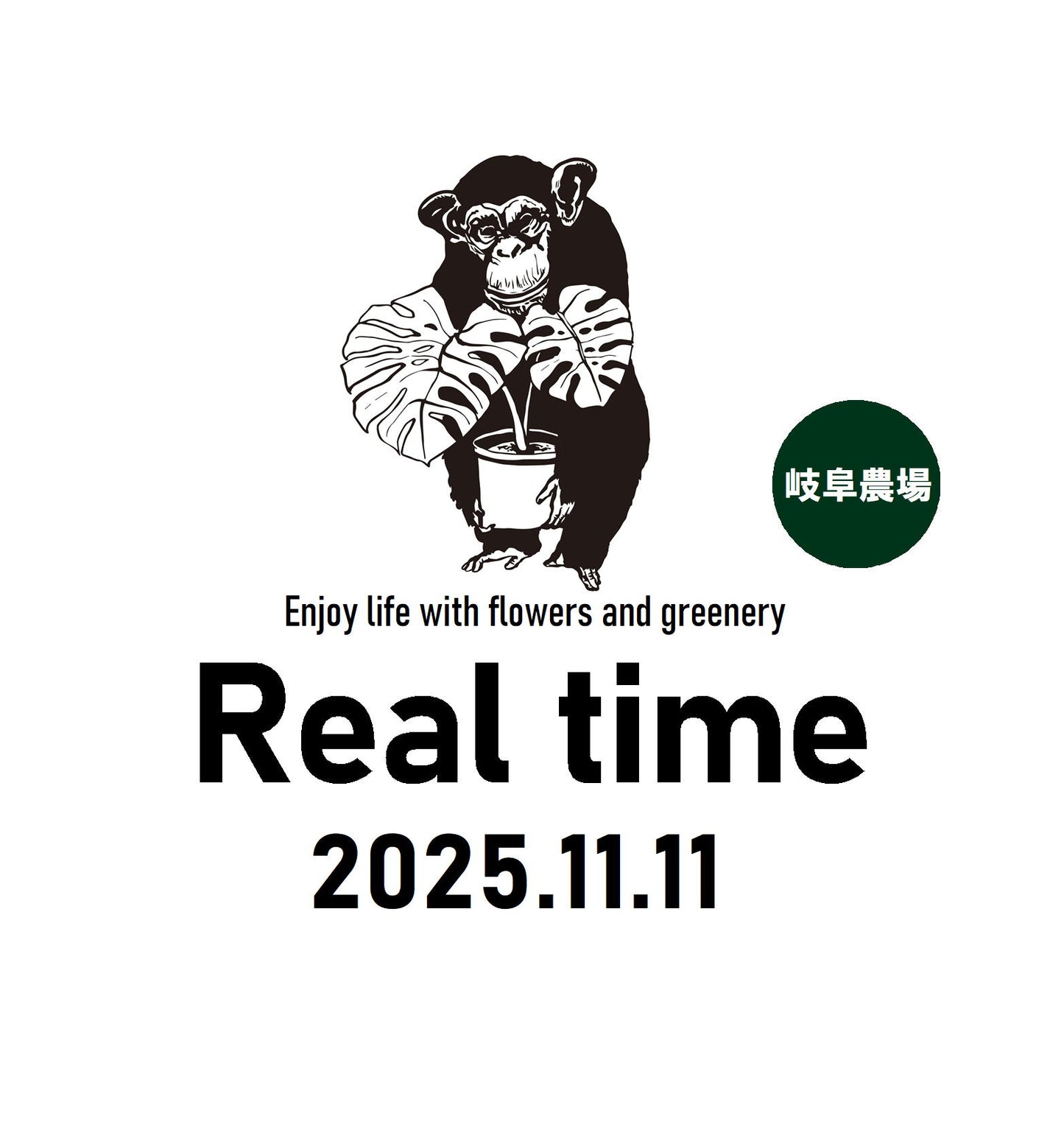 11/11 農場RIALTIME　coinblue5057様売約　サンスベリア